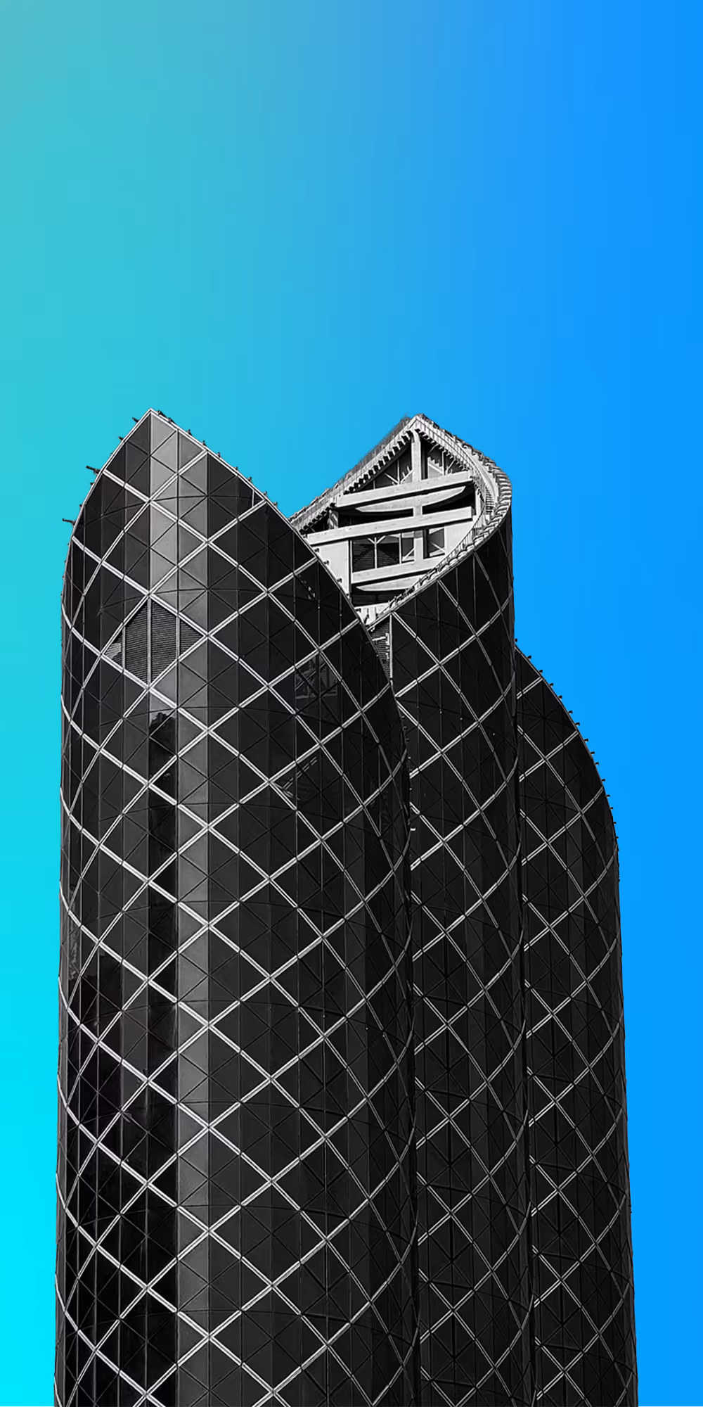 Zoral Industry Segments